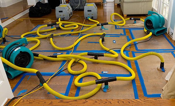 Professional Burst Pipe Water Damage technician working in Heiskell, TN
